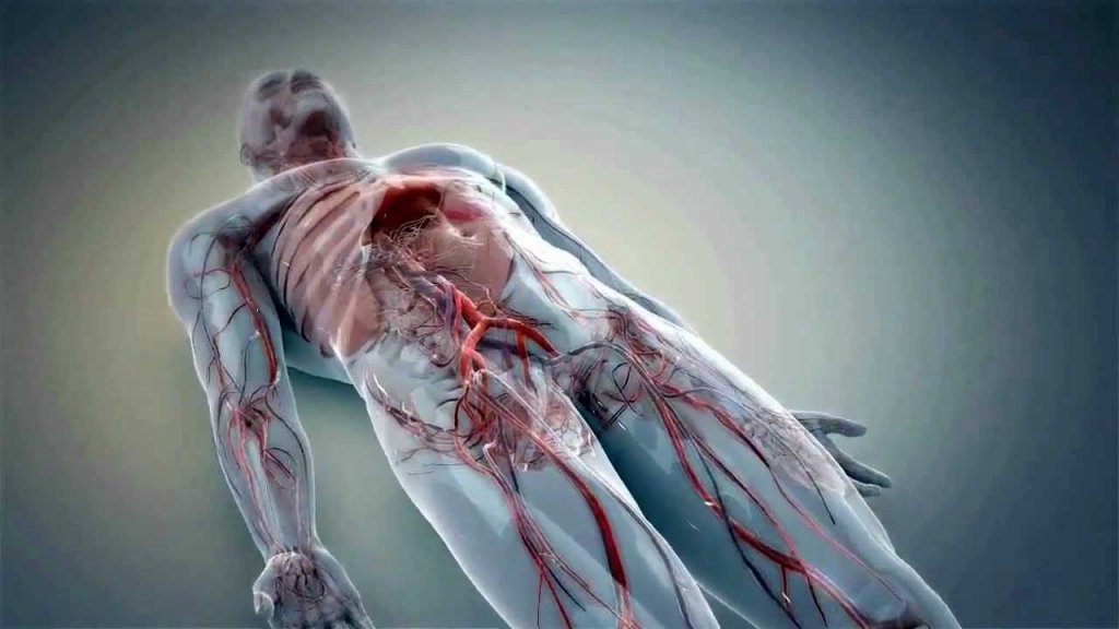 3d medical animation